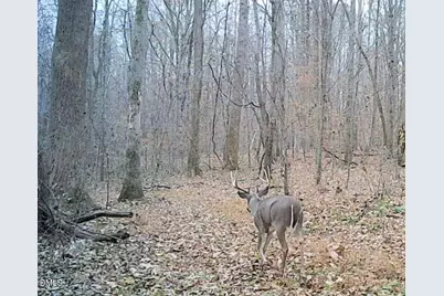 5400 Valley Wood Road, Hillsborough, NC 27278 - Photo 78