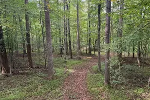 5400 Valley Wood Rd, Hillsborough, NC 27278 - Photo 70
