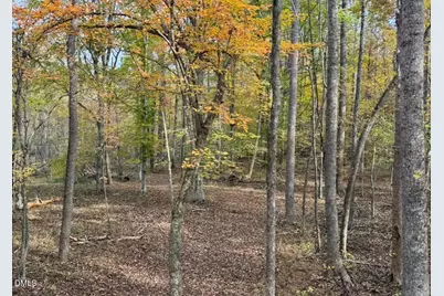 5400 Valley Wood Road, Hillsborough, NC 27278 - Photo 70