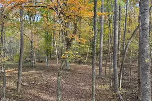 5400 Valley Wood Rd, Hillsborough, NC 27278 - Photo 70