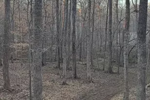 5400 Valley Wood Rd, Hillsborough, NC 27278 - Photo 74