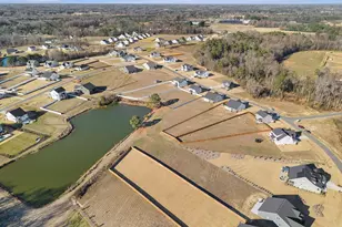 169 Grading Stick Ct, Angier, NC 27501 - Photo 38