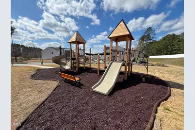 346 Beachcomber Drive, Lillington, NC 27546 - Photo 26