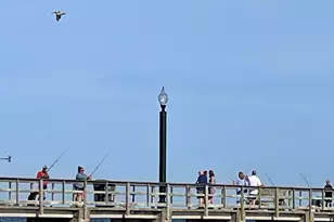 5203 Windward Way, Southport, NC 28461 - Photo 26