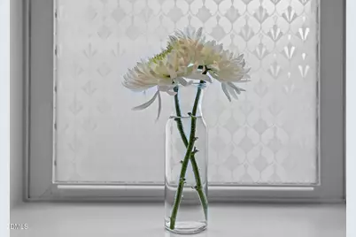 822 Watercolor Way, Durham, NC 27713 - Photo 32