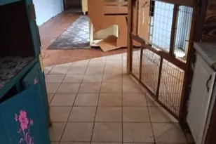 1495 Mackeys Rd, Plymouth, NC 27962 - Photo 6