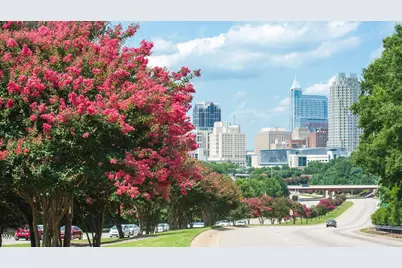 730 Orchard Vista Circle, Raleigh, NC 27606 - Photo 32