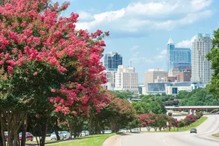 732 Orch Vis Cir, Raleigh, NC 27606 - Photo 24