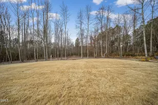 452 Brodie Rose Landing Way, Smithfield, NC 27577 - Photo 54