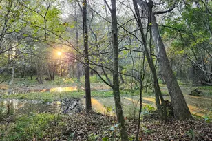 452 Brodie Rose Landing Way, Smithfield, NC 27577 - Photo 56