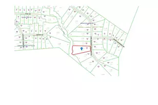 452 Brodie Rose Landing Way, Smithfield, NC 27577 - Photo 80