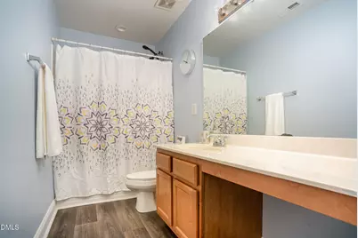 208 Apple Drupe Way, Holly Springs, NC 27540 - Photo 20