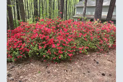 3116 Avondale Court, Raleigh, NC 27613 - Photo 48