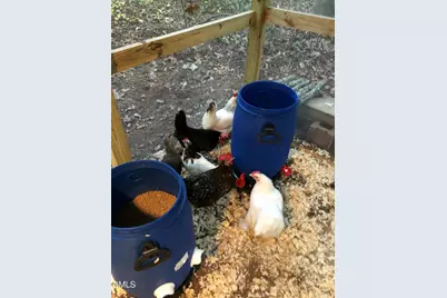 107 Larkwood Lane, Cary, NC 27518 - Photo 44