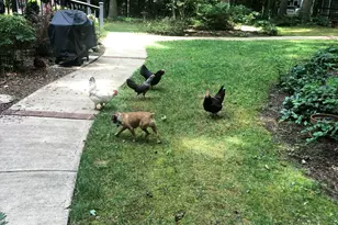 107 Larkwood Ln, Cary, NC 27518 - Photo 46