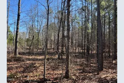 420 John Headen Road, Moncure, NC 27559 - Photo 4