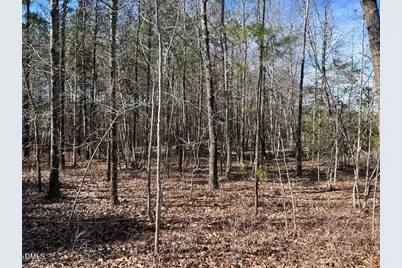 420 John Headen Road, Moncure, NC 27559 - Photo 6