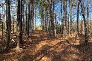 420 John Headen Rd, Moncure, NC 27559 - Photo 1