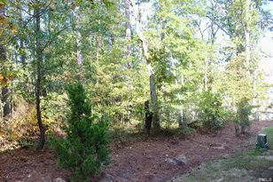 1608 Topaz Ln, Apex, NC 27502 - Photo 20