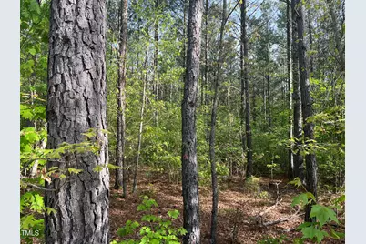 682 Wolf Pit Road, Oxford, NC 27565 - Photo 20