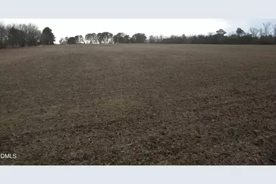 14.09 Ac Nc Hwy 42, Kenly, NC 27542 - Photo 4