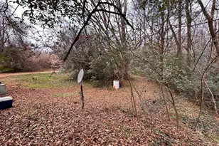 6623 Smithwood Rd, Liberty, NC 27298 - Photo 2