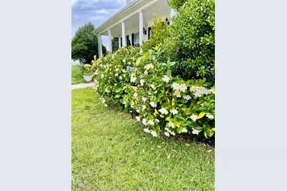 100 Blackberry Creek Drive, Willow Springs, NC 27592 - Photo 36