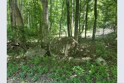 578 Nicks Bend W, Pittsboro, NC 27312 - Photo 4
