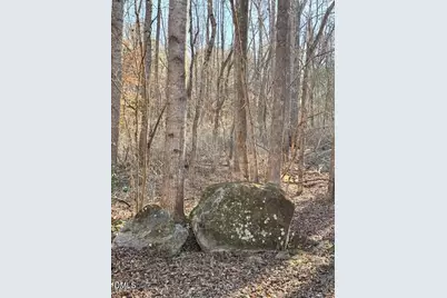 578 Nicks Bend W, Pittsboro, NC 27312 - Photo 6