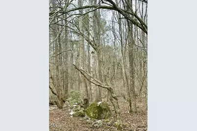 Lot 34 Nicks Bend W, Pittsboro, NC 27312 - Photo 4