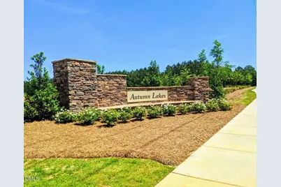 213 Brisk Drive, Zebulon, NC 27597 - Photo 32