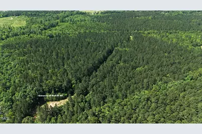 Lot 13 Wolf Pit Rd Road, Oxford, NC 27565 - Photo 10