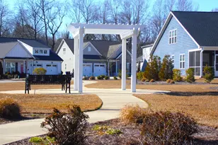 43 Molly Mac Ln, Angier, NC 27501 - Photo 34