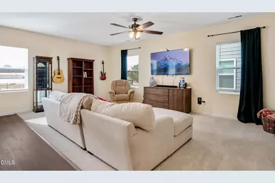 43 Molly Mac Lane, Angier, NC 27501 - Photo 12