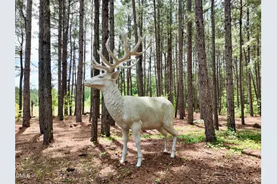 768 Bethesda Church Road, Fairmont, NC 28340 - Photo 46