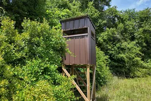 768 Bethesda Church Rd, Fairmont, NC 28340 - Photo 50