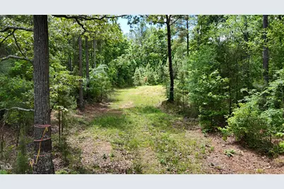 Lot 14 Wolf Pit Road, Oxford, NC 27565 - Photo 6