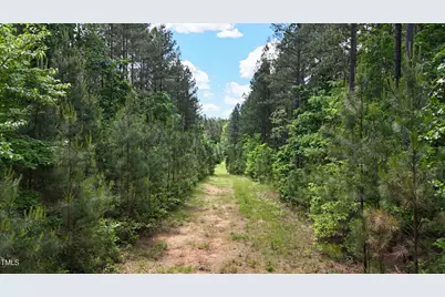 Lot 14 Wolf Pit Road, Oxford, NC 27565 - Photo 8