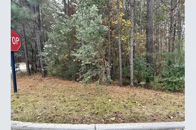 21 Bob White, Pittsboro, NC 27312 - Photo 4