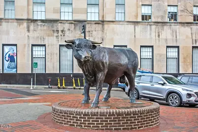 704 Big Twig Lane, Durham, NC 27703 - Photo 16