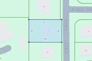 704 Big Twig Ln, Durham, NC 27703 - Photo 10