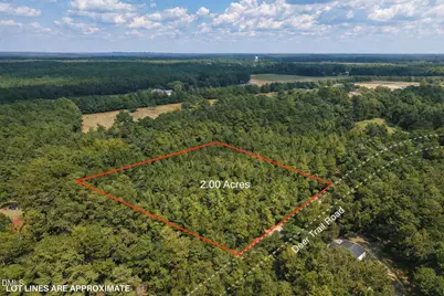 00-00 Deer Trail, Raeford, NC 28376 - Photo 6