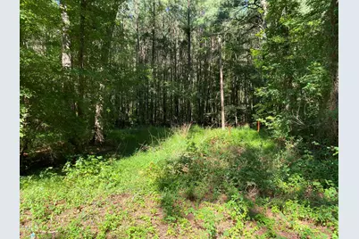 155 Collins Road, Norlina, NC 27563 - Photo 4