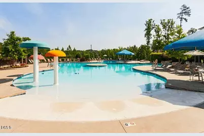 132 Deardom Way, Chapel Hill, NC 27516 - Photo 32