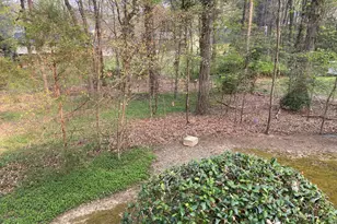 5022 Green Oak Dr, Durham, NC 27712 - Photo 42