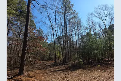 4113 Pearl Road, Raleigh, NC 27610 - Photo 6