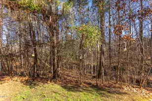 1434 Chatuga Wy, Wake Forest, NC 27587 - Photo 28