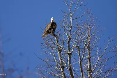 533 Competition Road, Raleigh, NC 27603 - Photo 50