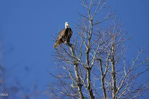 533 Competition Rd, Raleigh, NC 27603 - Photo 50