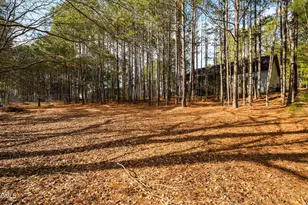 57 Andorra Pl, Angier, NC 27501 - Photo 30